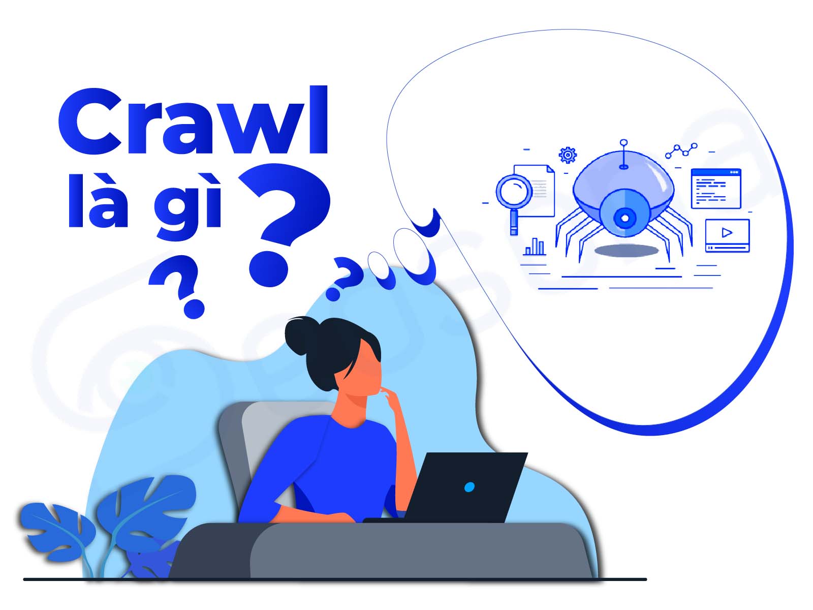 Crawler là gì? 7 yếu tố ảnh hưởng đến Crawler website 2025