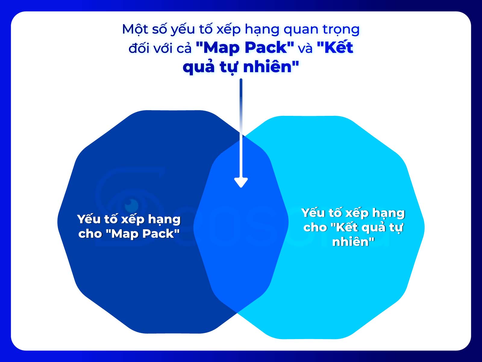 local seo la gi
