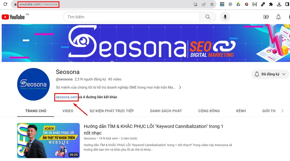 Backlink là gì? Cách xây dựng & tiêu chí chọn backlink chất lượng 2025 47 Backlink mạng xã hội