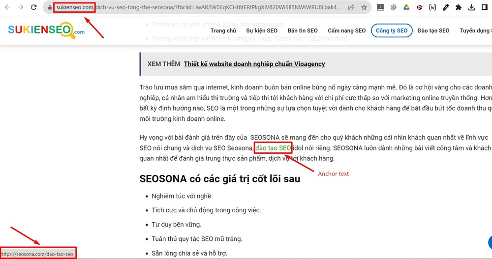 Backlink là gì? Cách xây dựng & tiêu chí chọn backlink chất lượng 2025 40 Ví dụ về anchor text