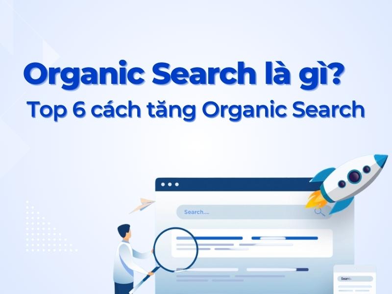 Organic Search là gì? Hướng dẫn toàn diện về tìm kiếm tự nhiên (Organic Search)