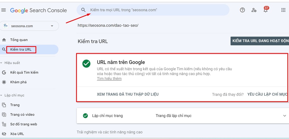 Google index là gì? 8 cách giúp Google index website siêu nhanh 11 Kiểm tra Google index bằng Google Search Console