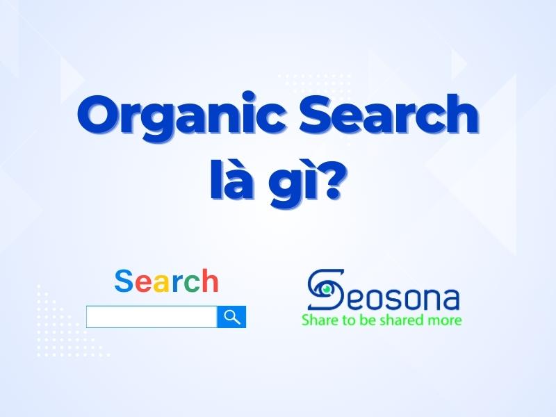 Organic Search là gì? Hướng dẫn toàn diện về tìm kiếm tự nhiên (Organic Search) 10 organic search là gì