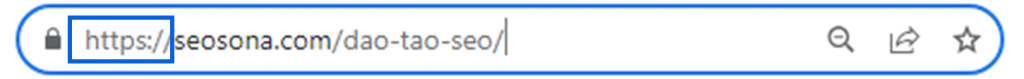 url31