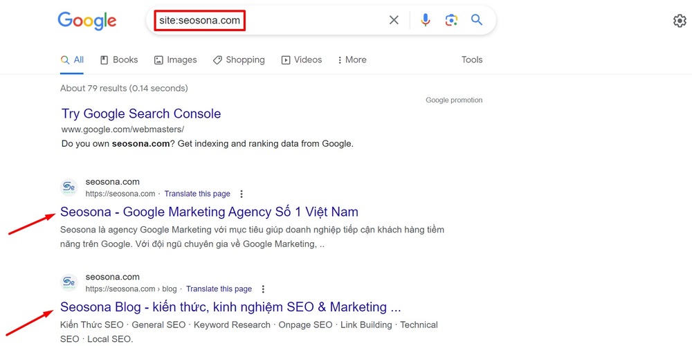 Google index là gì? 8 cách giúp Google index website siêu nhanh 9 Ví dụ về Google index của website Seosona