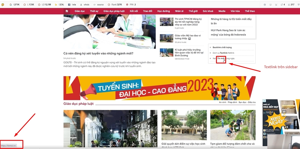 Backlink là gì? Cách xây dựng & tiêu chí chọn backlink chất lượng 2025 62 Ví dụ về một Textlink trên website