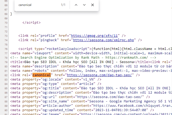 Canonical là gì? Cách sử dụng thẻ Canonical URL hiệu quả trong SEO 33 CN15