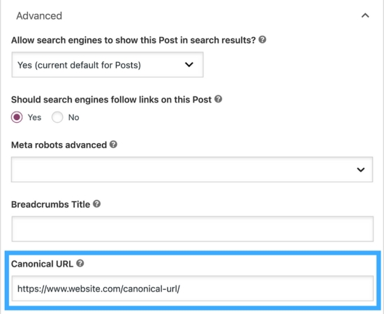 Canonical là gì? Cách sử dụng thẻ Canonical URL hiệu quả trong SEO 24 CN2