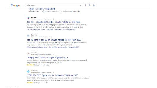 Meta Description là gì? 10 cách viết Meta Description hay 24 Top các công ty SEO uy tín tại Việt Nam