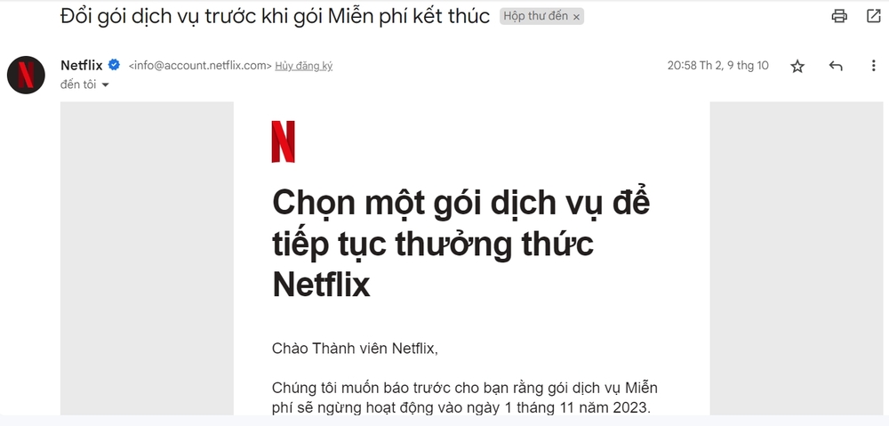 Marketing Online là gì? Tìm hiểu Marketing Online từ A - Z 29 Một mẫu Email Marketing của Netflix