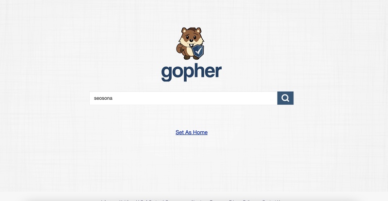 Search Engine là gì? Top 9 Search Engine nổi tiếng nhất thế giới 21 giao diện search engine gopher