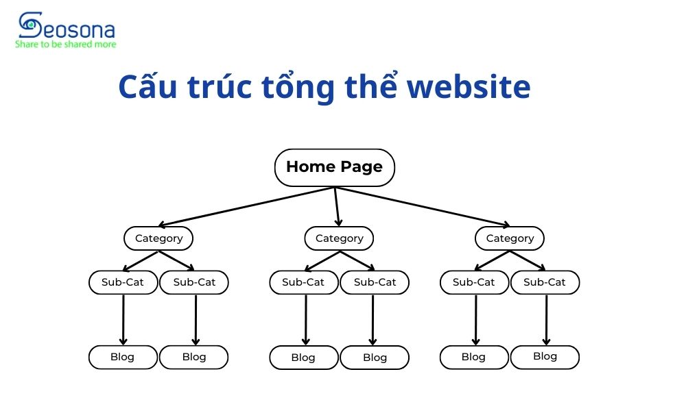 cau truc tong the website