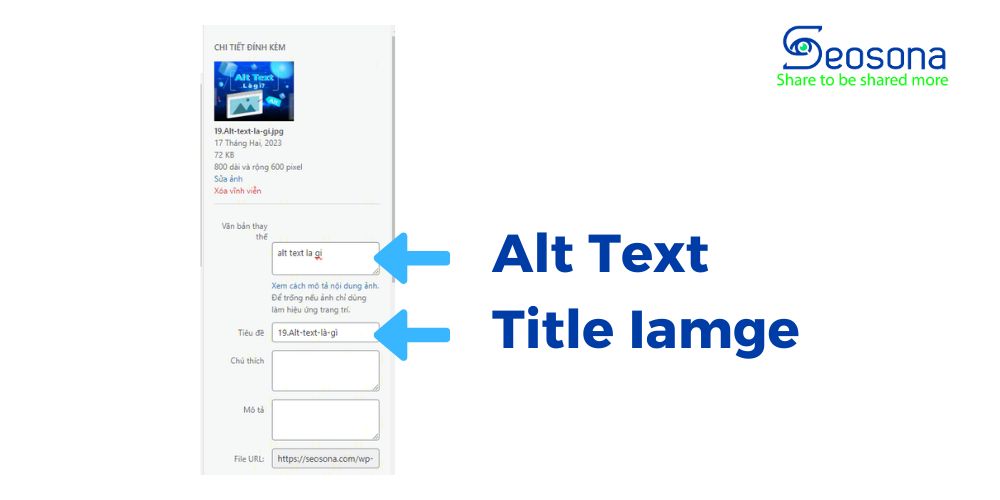 alt text 6